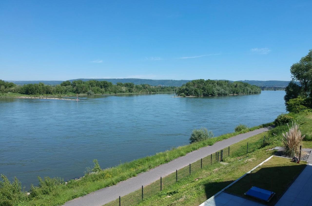 Rhein Lounge Apartment Urmitz Bagian luar foto
